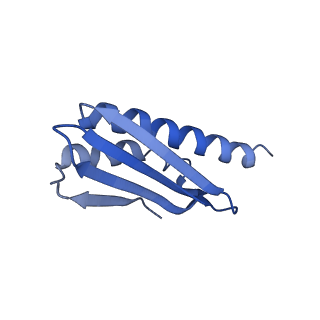 29298_8fmw_W_v1-0
The structure of a hibernating ribosome in the Lyme disease pathogen