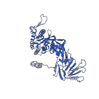 29299_8fmx_A_v1-0
Langya virus F glycoprotein ectodomain in prefusion form
