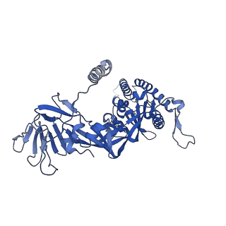 29299_8fmx_B_v1-0
Langya virus F glycoprotein ectodomain in prefusion form