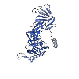 29299_8fmx_C_v1-0
Langya virus F glycoprotein ectodomain in prefusion form
