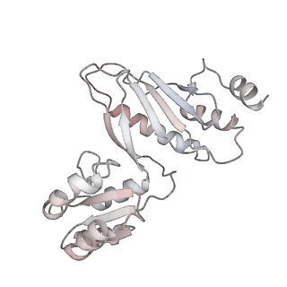 29304_8fmw_AC_v1-0
The structure of a hibernating ribosome in the Lyme disease pathogen
