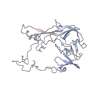 29304_8fmw_AD_v1-0
The structure of a hibernating ribosome in the Lyme disease pathogen