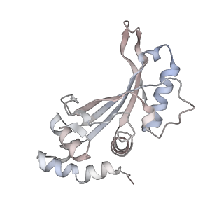 29304_8fmw_AG_v1-0
The structure of a hibernating ribosome in the Lyme disease pathogen