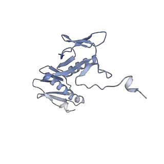 29304_8fmw_AH_v1-0
The structure of a hibernating ribosome in the Lyme disease pathogen
