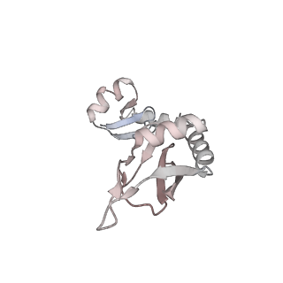 29304_8fmw_AI_v1-0
The structure of a hibernating ribosome in the Lyme disease pathogen