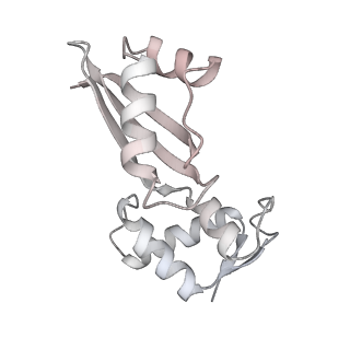29304_8fmw_AK_v1-0
The structure of a hibernating ribosome in the Lyme disease pathogen