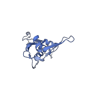 29304_8fmw_AL_v1-0
The structure of a hibernating ribosome in the Lyme disease pathogen