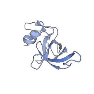 29304_8fmw_AM_v1-0
The structure of a hibernating ribosome in the Lyme disease pathogen