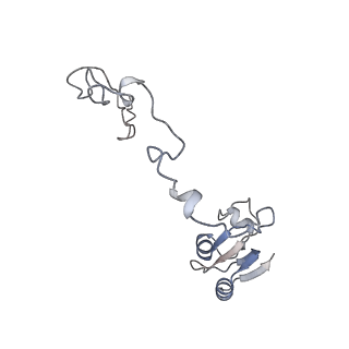 29304_8fmw_AN_v1-0
The structure of a hibernating ribosome in the Lyme disease pathogen