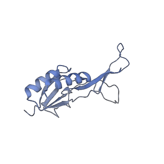 29304_8fmw_AO_v1-0
The structure of a hibernating ribosome in the Lyme disease pathogen