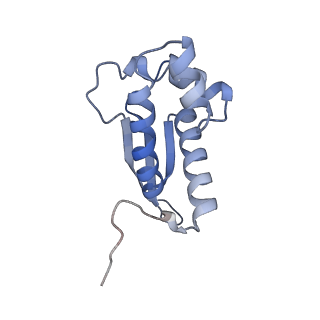 29304_8fmw_AP_v1-0
The structure of a hibernating ribosome in the Lyme disease pathogen