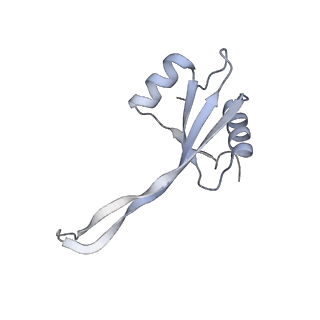 29304_8fmw_AV_v1-0
The structure of a hibernating ribosome in the Lyme disease pathogen