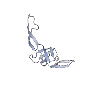 29304_8fmw_AW_v1-0
The structure of a hibernating ribosome in the Lyme disease pathogen