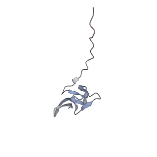 29304_8fmw_AY_v1-0
The structure of a hibernating ribosome in the Lyme disease pathogen