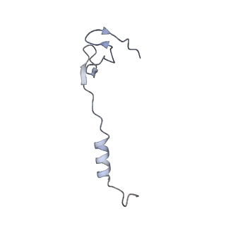 29304_8fmw_Ad_v1-0
The structure of a hibernating ribosome in the Lyme disease pathogen