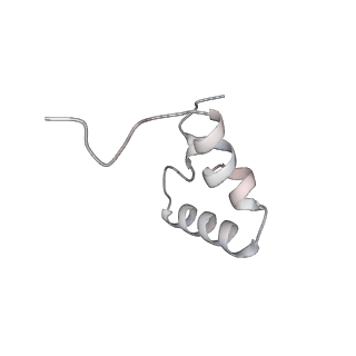 29304_8fmw_Af_v1-0
The structure of a hibernating ribosome in the Lyme disease pathogen