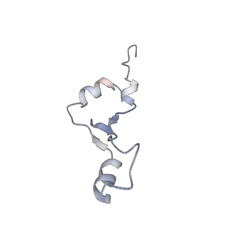 29304_8fmw_Ag_v1-0
The structure of a hibernating ribosome in the Lyme disease pathogen