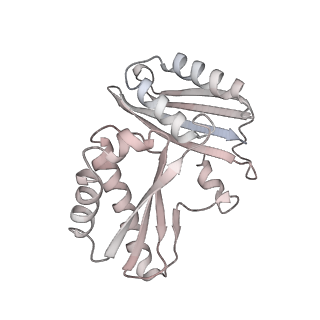 29304_8fmw_C_v1-0
The structure of a hibernating ribosome in the Lyme disease pathogen