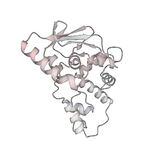 29304_8fmw_D_v1-0
The structure of a hibernating ribosome in the Lyme disease pathogen