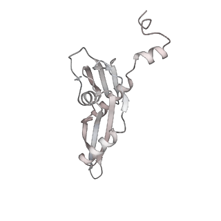 29304_8fmw_E_v1-0
The structure of a hibernating ribosome in the Lyme disease pathogen