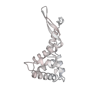 29304_8fmw_G_v1-0
The structure of a hibernating ribosome in the Lyme disease pathogen