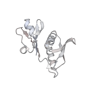 29304_8fmw_H_v1-0
The structure of a hibernating ribosome in the Lyme disease pathogen