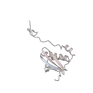 29304_8fmw_I_v1-0
The structure of a hibernating ribosome in the Lyme disease pathogen