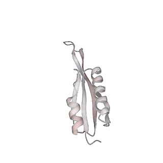29304_8fmw_J_v1-0
The structure of a hibernating ribosome in the Lyme disease pathogen