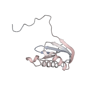 29304_8fmw_K_v1-0
The structure of a hibernating ribosome in the Lyme disease pathogen