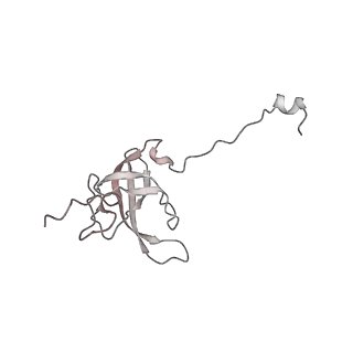 29304_8fmw_L_v1-0
The structure of a hibernating ribosome in the Lyme disease pathogen