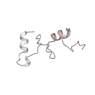 29304_8fmw_N_v1-0
The structure of a hibernating ribosome in the Lyme disease pathogen