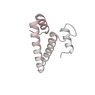 29304_8fmw_O_v1-0
The structure of a hibernating ribosome in the Lyme disease pathogen