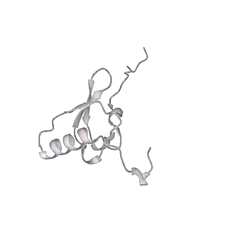 29304_8fmw_S_v1-0
The structure of a hibernating ribosome in the Lyme disease pathogen