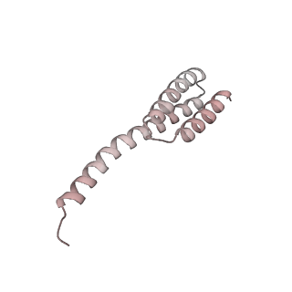 29304_8fmw_T_v1-0
The structure of a hibernating ribosome in the Lyme disease pathogen