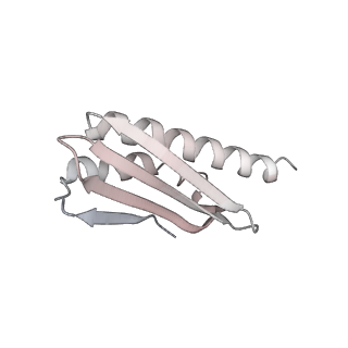 29304_8fmw_W_v1-0
The structure of a hibernating ribosome in the Lyme disease pathogen