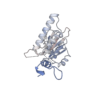 3231_5fmg_A_v1-1
Structure and function based design of Plasmodium-selective proteasome inhibitors