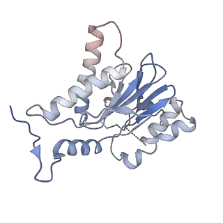 3231_5fmg_B_v1-1
Structure and function based design of Plasmodium-selective proteasome inhibitors