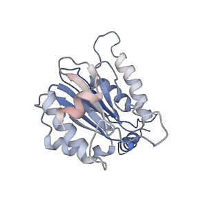 3231_5fmg_E_v1-1
Structure and function based design of Plasmodium-selective proteasome inhibitors