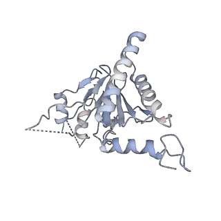 3231_5fmg_G_v1-1
Structure and function based design of Plasmodium-selective proteasome inhibitors