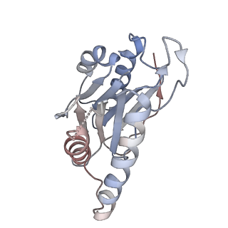3231_5fmg_H_v1-1
Structure and function based design of Plasmodium-selective proteasome inhibitors