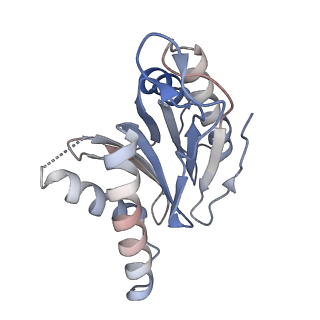 3231_5fmg_I_v1-1
Structure and function based design of Plasmodium-selective proteasome inhibitors