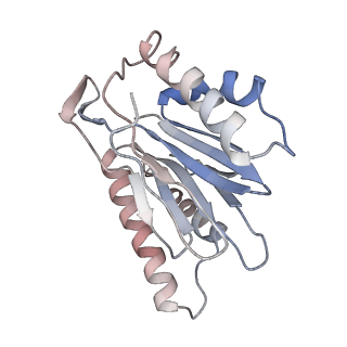 3231_5fmg_K_v1-1
Structure and function based design of Plasmodium-selective proteasome inhibitors