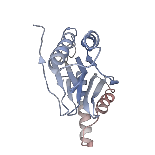 3231_5fmg_L_v1-1
Structure and function based design of Plasmodium-selective proteasome inhibitors