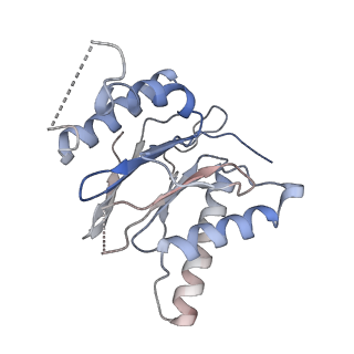 3231_5fmg_M_v1-1
Structure and function based design of Plasmodium-selective proteasome inhibitors