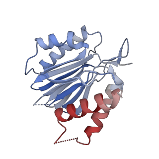 3231_5fmg_N_v1-1
Structure and function based design of Plasmodium-selective proteasome inhibitors