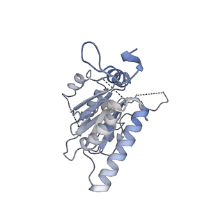 3231_5fmg_O_v1-1
Structure and function based design of Plasmodium-selective proteasome inhibitors