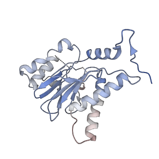3231_5fmg_P_v1-1
Structure and function based design of Plasmodium-selective proteasome inhibitors