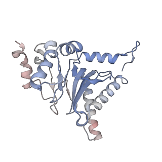 3231_5fmg_Q_v1-1
Structure and function based design of Plasmodium-selective proteasome inhibitors