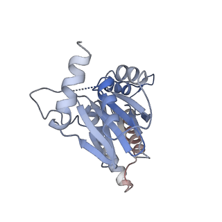 3231_5fmg_R_v1-1
Structure and function based design of Plasmodium-selective proteasome inhibitors
