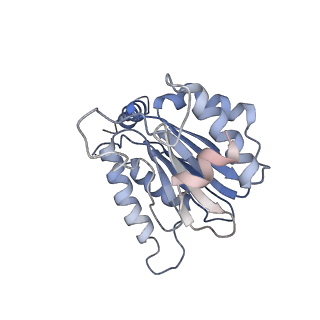 3231_5fmg_S_v1-1
Structure and function based design of Plasmodium-selective proteasome inhibitors
